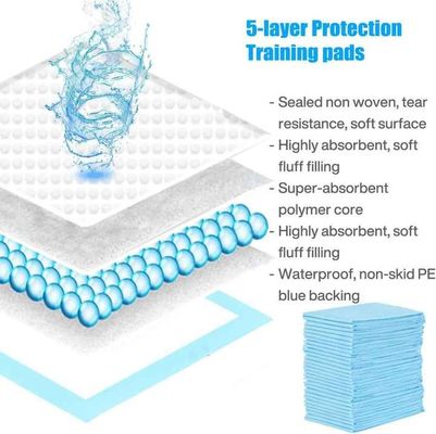 حفاضات حيوانات أليفة بدون رائحة للكلاب الصغيرة والكبيرة مع حفاضات مستدامة للاستخدام مرة واحدة