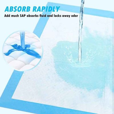 حفاضات الحيوانات الأليفة الممتصة جداً حفاضات تربية الكلاب الحفاضات القابلة للإستخدام مرة واحدة لحفاضات القطط والكلاب